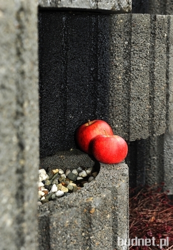 aranżacja ogrodu za pomocą małej arichtektury